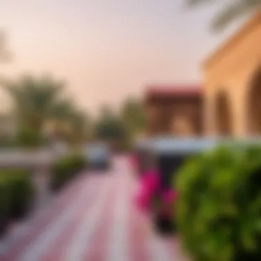 Local amenities and parks in Al Karama