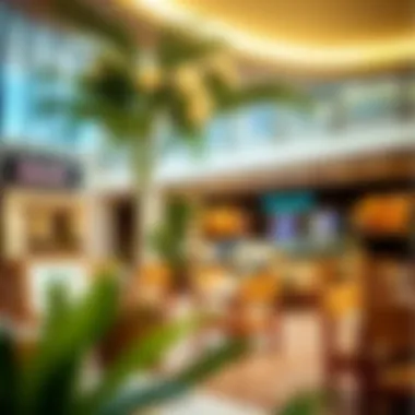 Amenities and Facilities in the Area Local amenities and facilities nearby