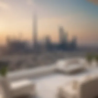 Breathtaking Skyline Views from the White Palace Panoramic view of the Dubai skyline from the White Palace